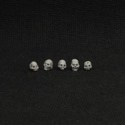 Brother Vinni set 5 crânes humains bits résine 28mm décor
