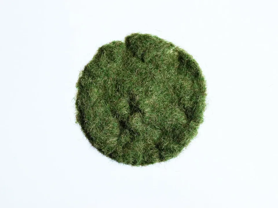 Albion Grass Flock 2 mm flocage début été 50 g