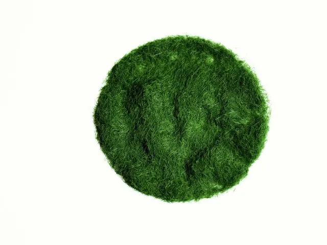 Albion Grass-Flock 2 mm flocage herbe vert 50g