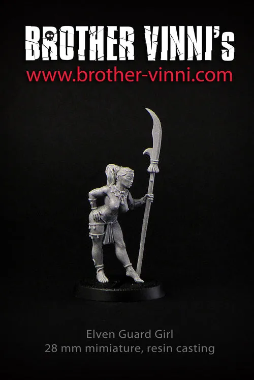Brother Vinni Elfe Rogue figurine résine 28 mm fantasy