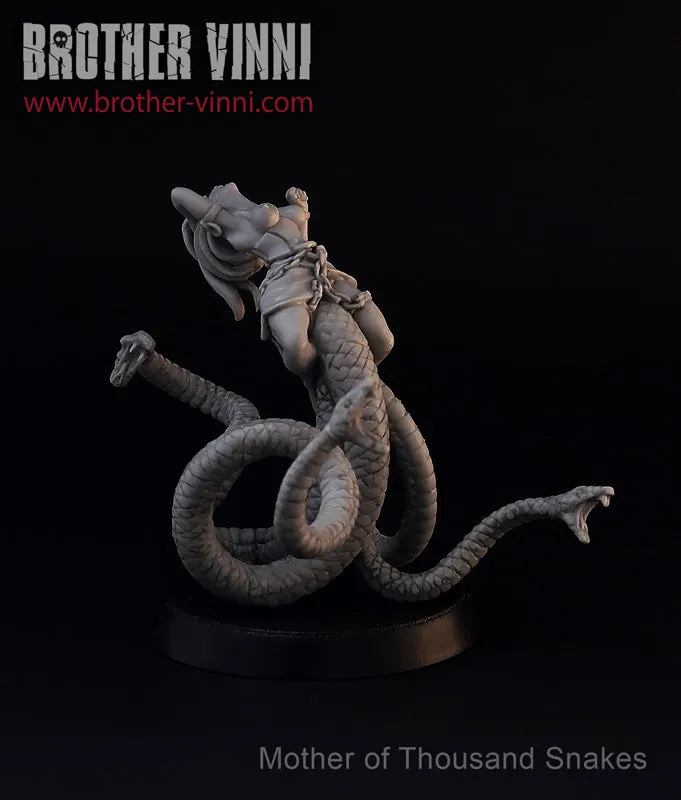 Brother Vinni Dark Sorceress figurine 28 mm résine à peindre