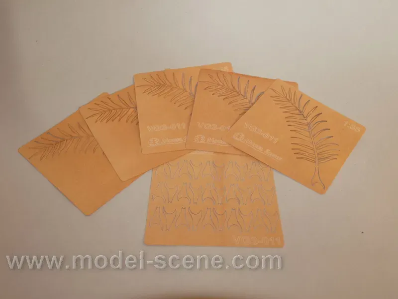 Albion Palm Leaves Dry Type I feuillage palmier 1 pièce