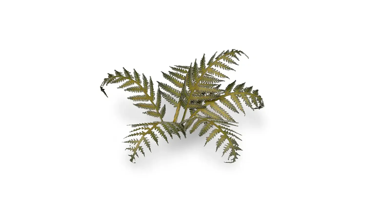 Bolt Action Laser Plants - Bracken feuillage fougère prépeint 22 feuilles