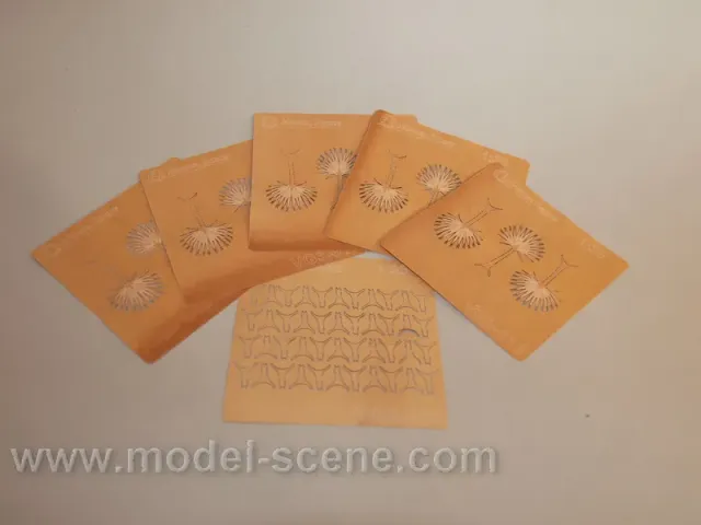 Albion Palm leaves feuilles palmier sèches type II