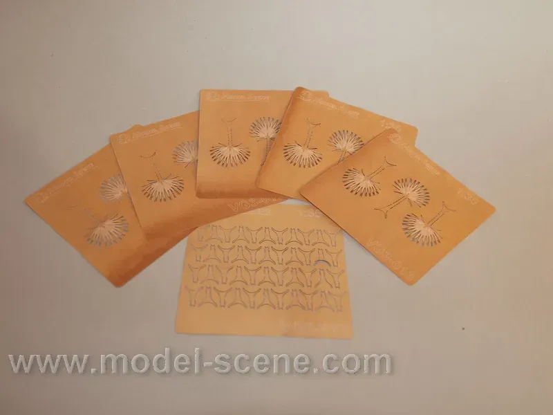 Albion Palm leaves feuilles palmier sèches type II