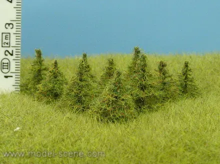 Albion Model Scene Larch arbres 15 mm lot de 10