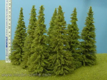 Albion Larch 140-160 mm arbre miniature x3