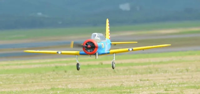 Black Horse Model BH209 BT-13 avion RC ARF 50-60cc 2286mm