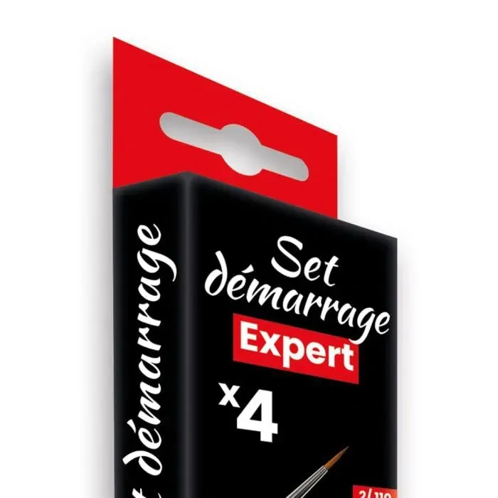 Prince August Kit de démarrage Expert kit peinture 4 pièces français