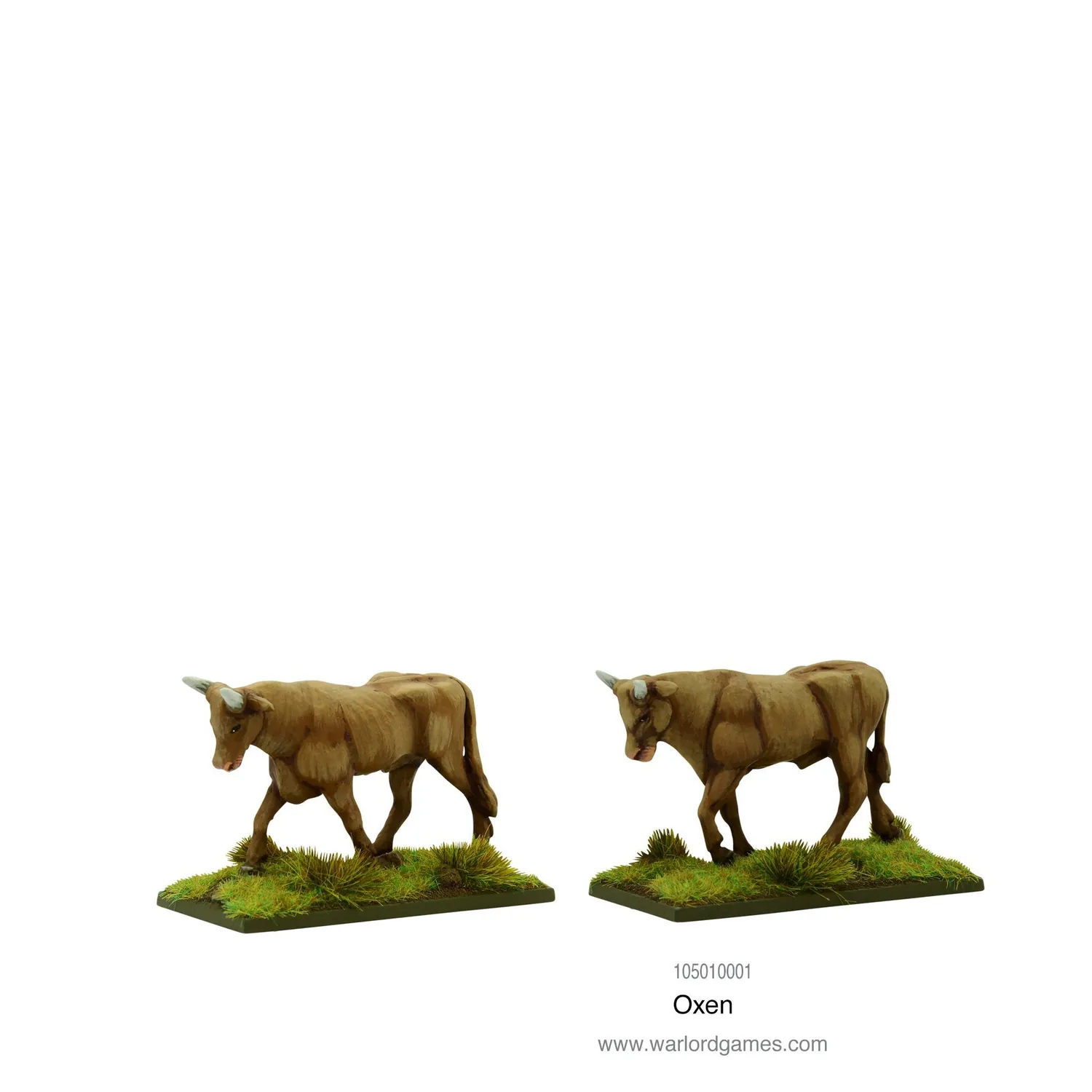 Warlord Games Black Powder Oxen attelage bœufs métal x2