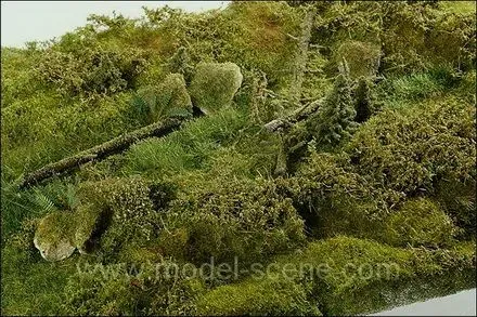 Model Scene F801 zone forestière Spring décor