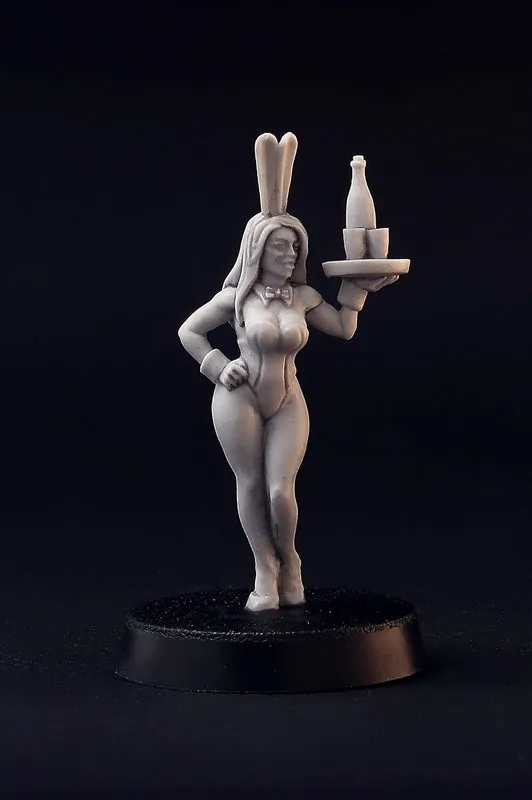 Brother Vinni Bunny Girls Waitress figurines 28mm résine lot 2