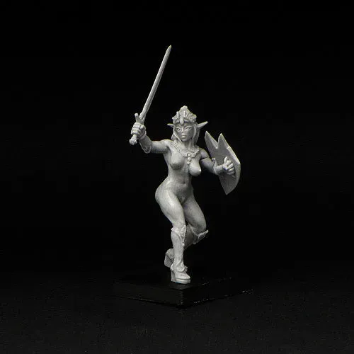 Brother Vinni Female Elf Fighter figurine résine 28mm DnD