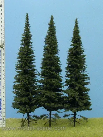 Albion Spruce SK302 sapin miniature 280-320 mm lot de 2