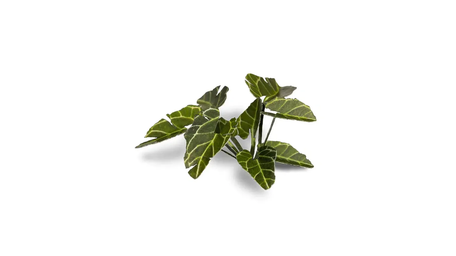 Bolt Action Laser Plants - Elephant Ear végétation tropicale 51 feuilles