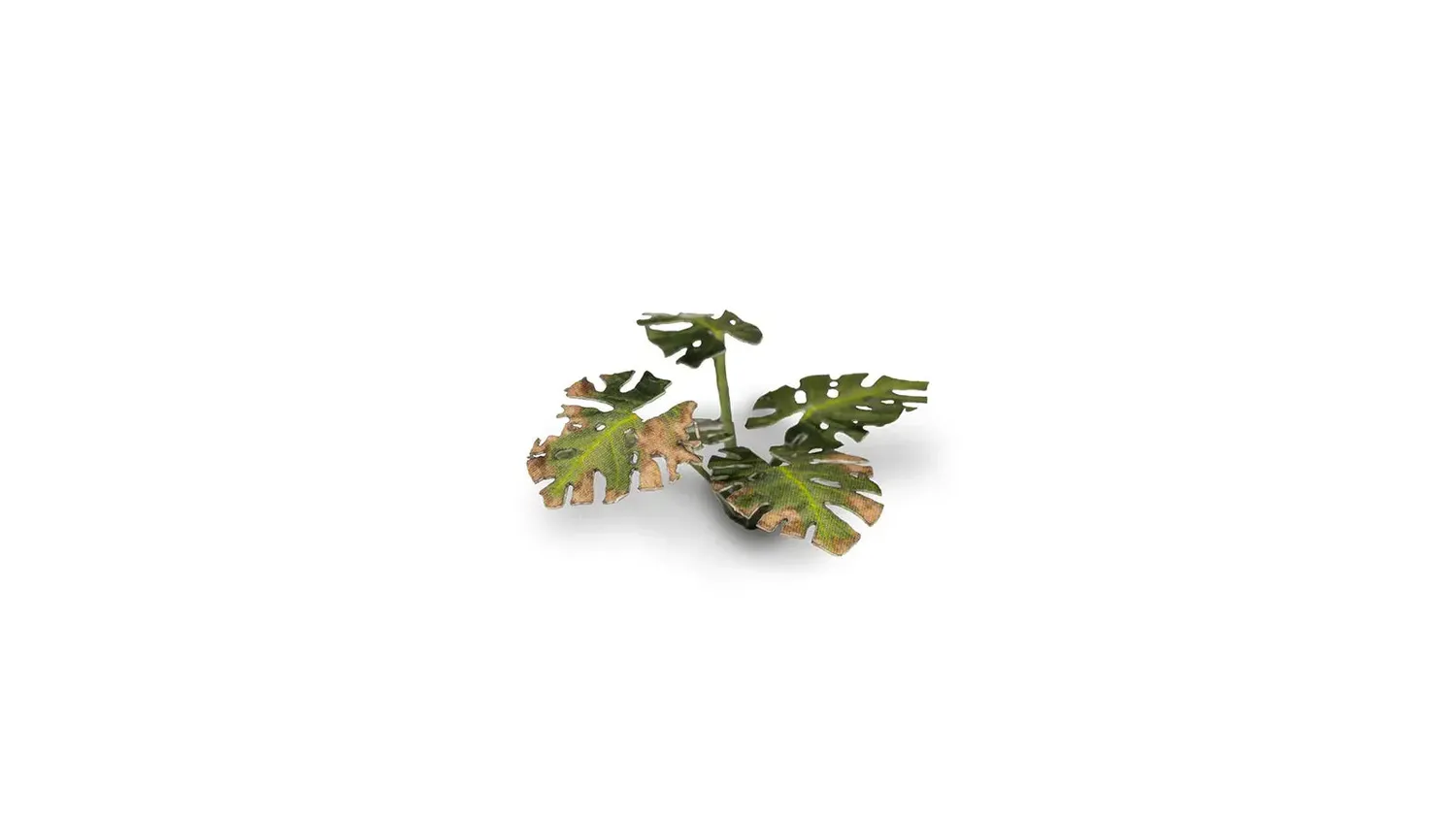 Gamers Grass Laser Plants Monstera décor 47 feuilles