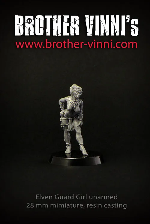 Brother Vinni Elfe Voleuse figurine résine 28mm DnD