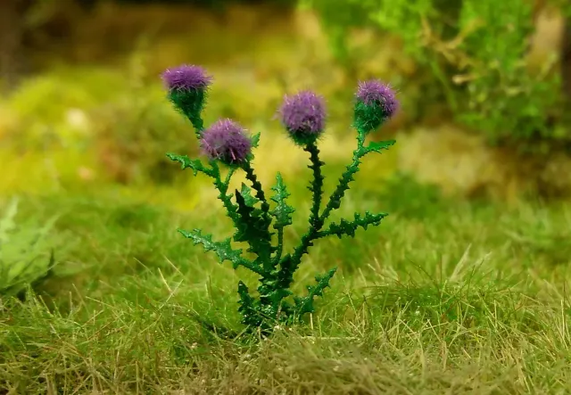 Albion Model Scene Thistle 1:35 chardon miniature