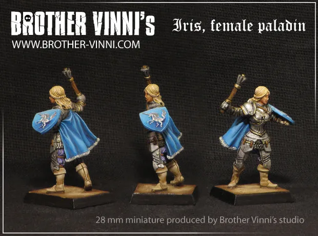 BROTHER VINNI Female Paladin (Knight) figurine paladine 28 mm en résine