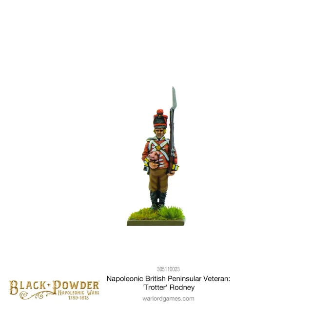 Bolt Action Black Powder Napoleonic British Peninsular Veteran Trotter Rodney figurine