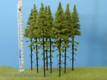 Albion Larch with trunk 180-220 mm arbre miniature 5 pièces tronc