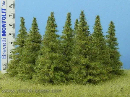 Albion Larch 65-80 mm arbre miniature 7 pièces écorce