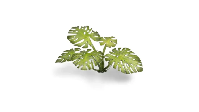 Gamers Grass Laser Plants Monstera décor 47 feuilles