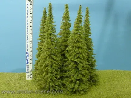 Albion Larch MO200 arbre miniature 180-220 mm lot de 3