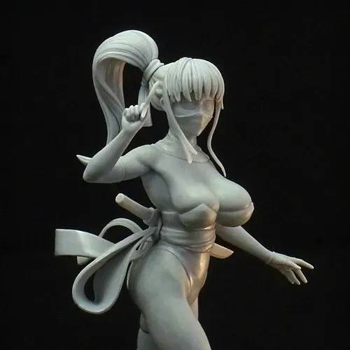 Brother Vinni Minory Anime Ninja Girl figurine 15 cm résine
