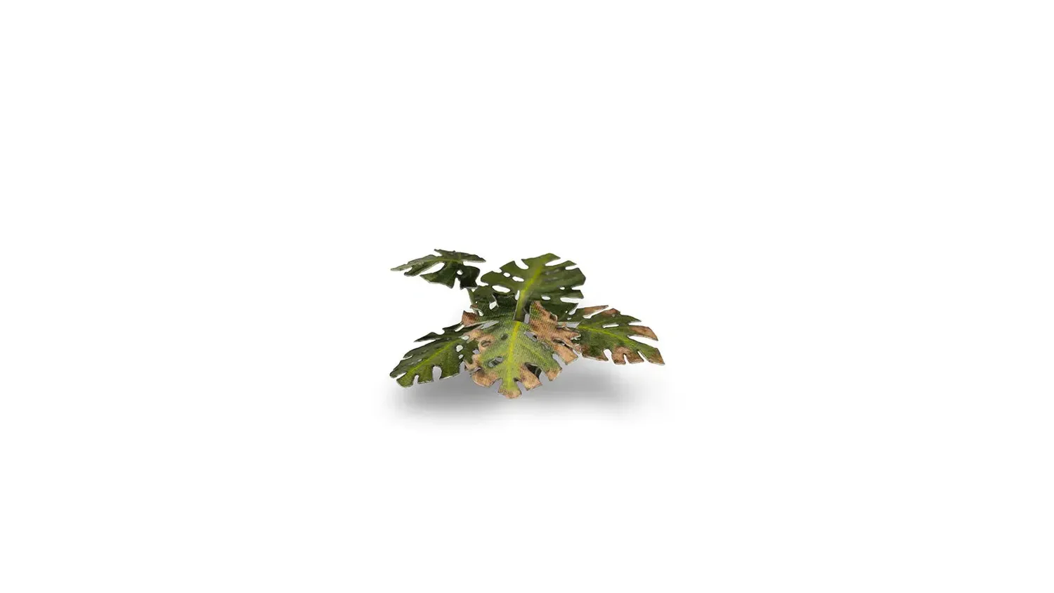 Gamers Grass Laser Plants Monstera décor 47 feuilles