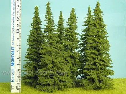 Albion Spruce SM150 sapin miniature 140-160 mm lot de 3
