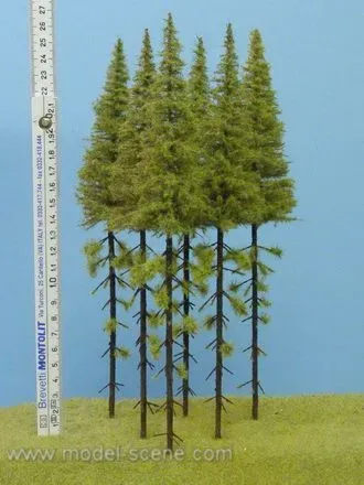 Albion Model Scene Larch with trunk 230-270 mm arbre 5 pièces hauteur 230-270 mm