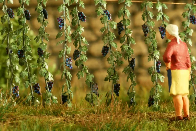 Albion Model Scene Grapevine vigne miniature
