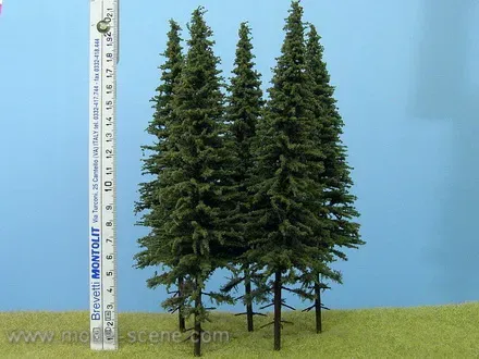 Albion Spruce with short trunk 180-220 mm arbre miniature 3 pièces