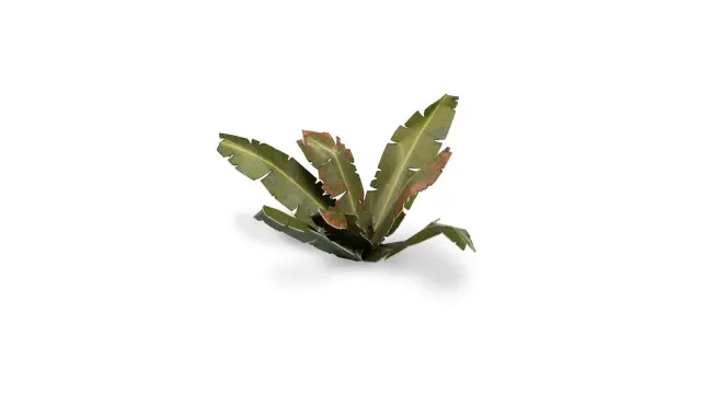 Bolt Action Laser Plants Banana Tree feuilles de bananier prépeintes 52 pièces
