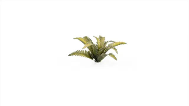 Bolt Action Laser Plants Deer Fern décor 38 feuilles