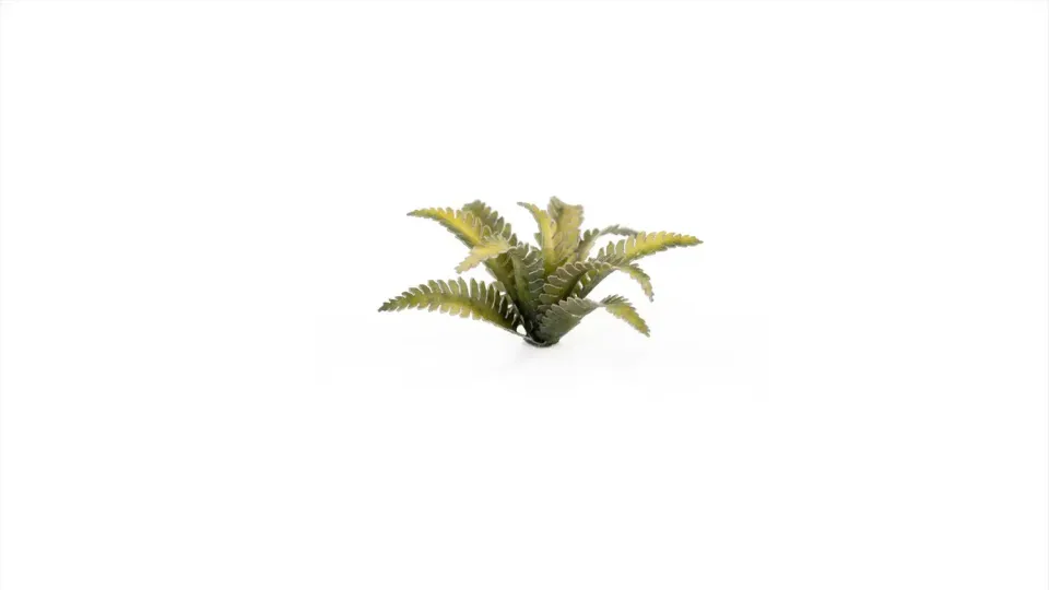 Bolt Action Laser Plants Deer Fern décor 38 feuilles