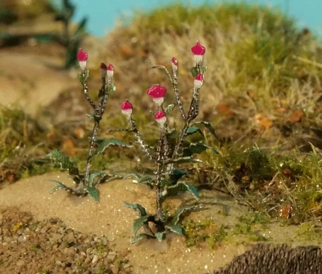 Albion Thistle chardon miniature pour diorama