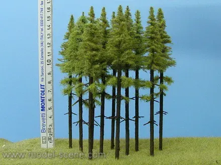 Albion Larch with Trunk 140-160 mm arbres miniature lot 5