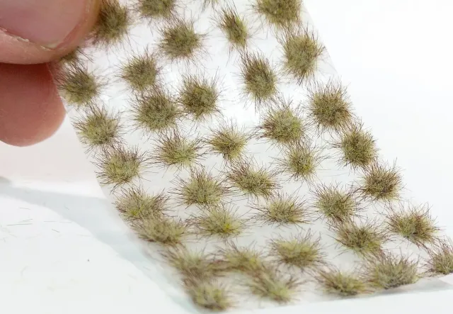Albion 050-24S touffes herbe début automne