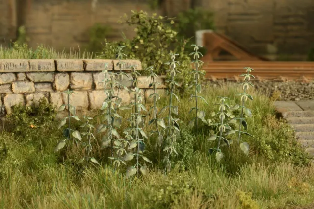 Albion Nettle végétation miniature ortie