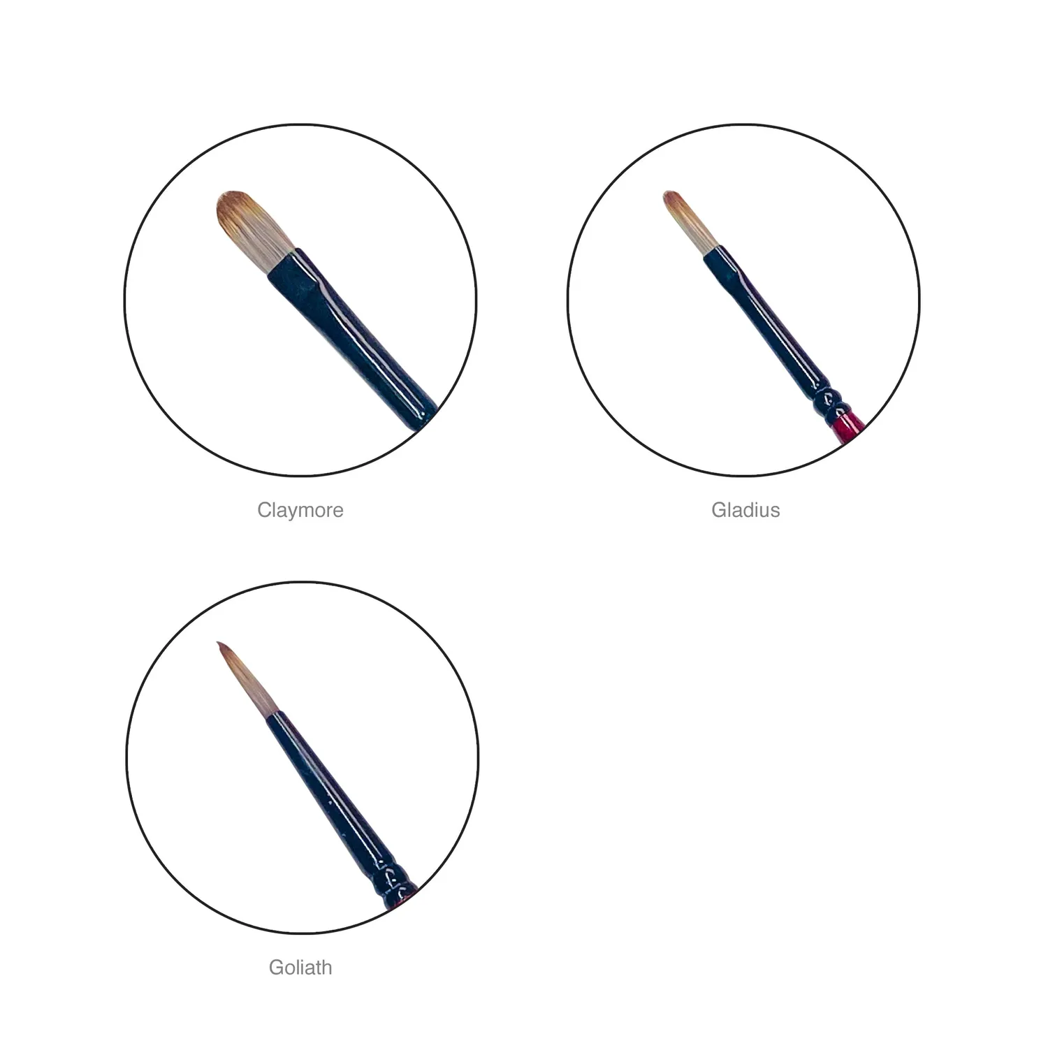 Paint Tamer Daimyo Collection pinceaux synthèse 12 pièces