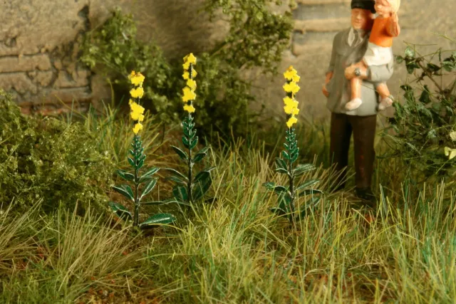 Albion Mullein décor de diorama molène