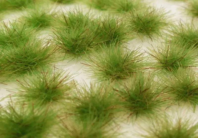 Albion Two Coloured Tufts touffes printemps bicolores