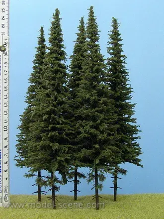 Albion Spruce Short Trunk 230-270mm arbre épicéa x3