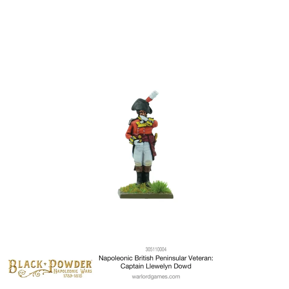 Black Powder Captain Llewelyn Dowd figurine résine officier