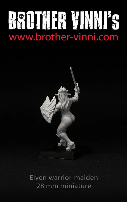 Brother Vinni Female Elf Fighter figurine résine 28mm DnD