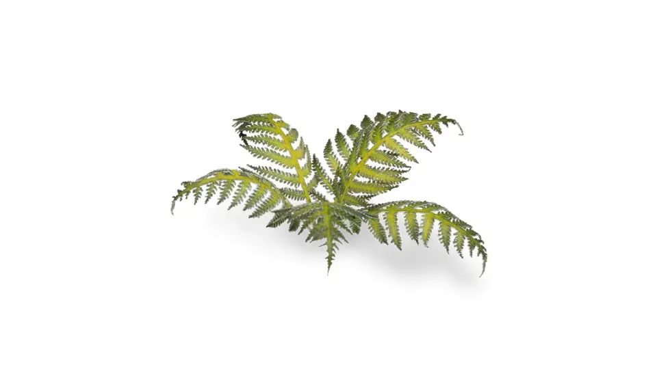 Bolt Action Laser Plants - Bracken feuillage fougère prépeint 22 feuilles